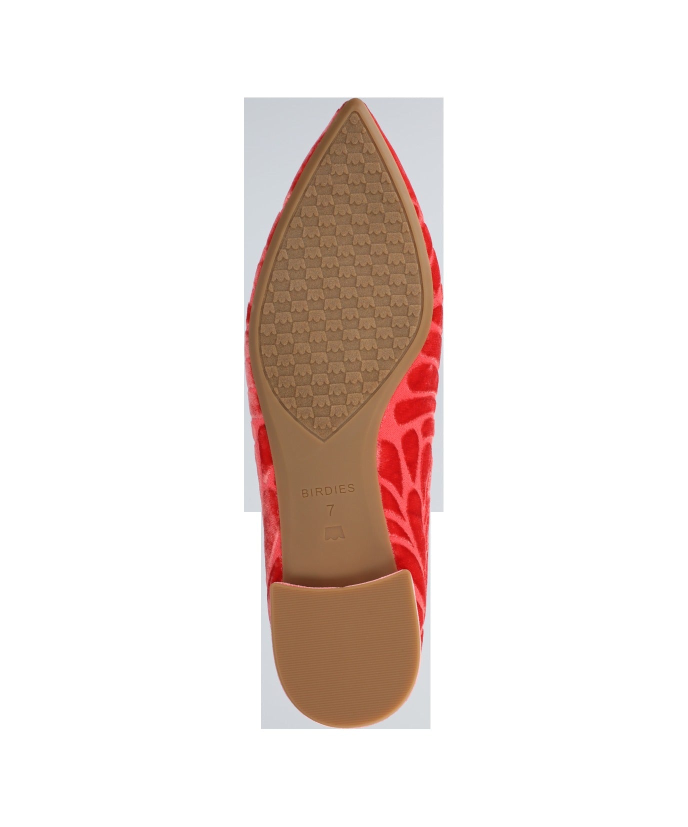 The Starfinch 15 Embroidery - Flame Velvet
