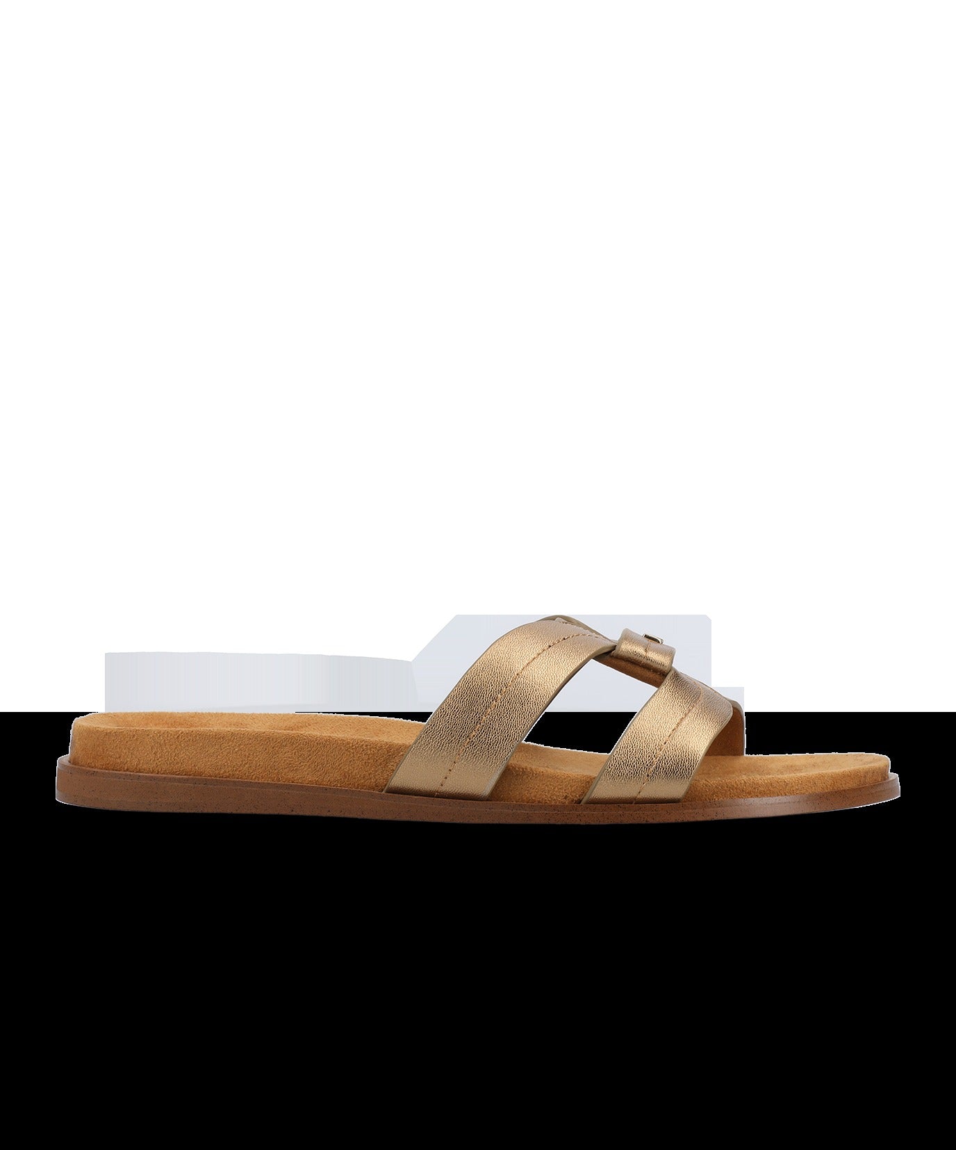 The Sunbird Icon - Gold Leather