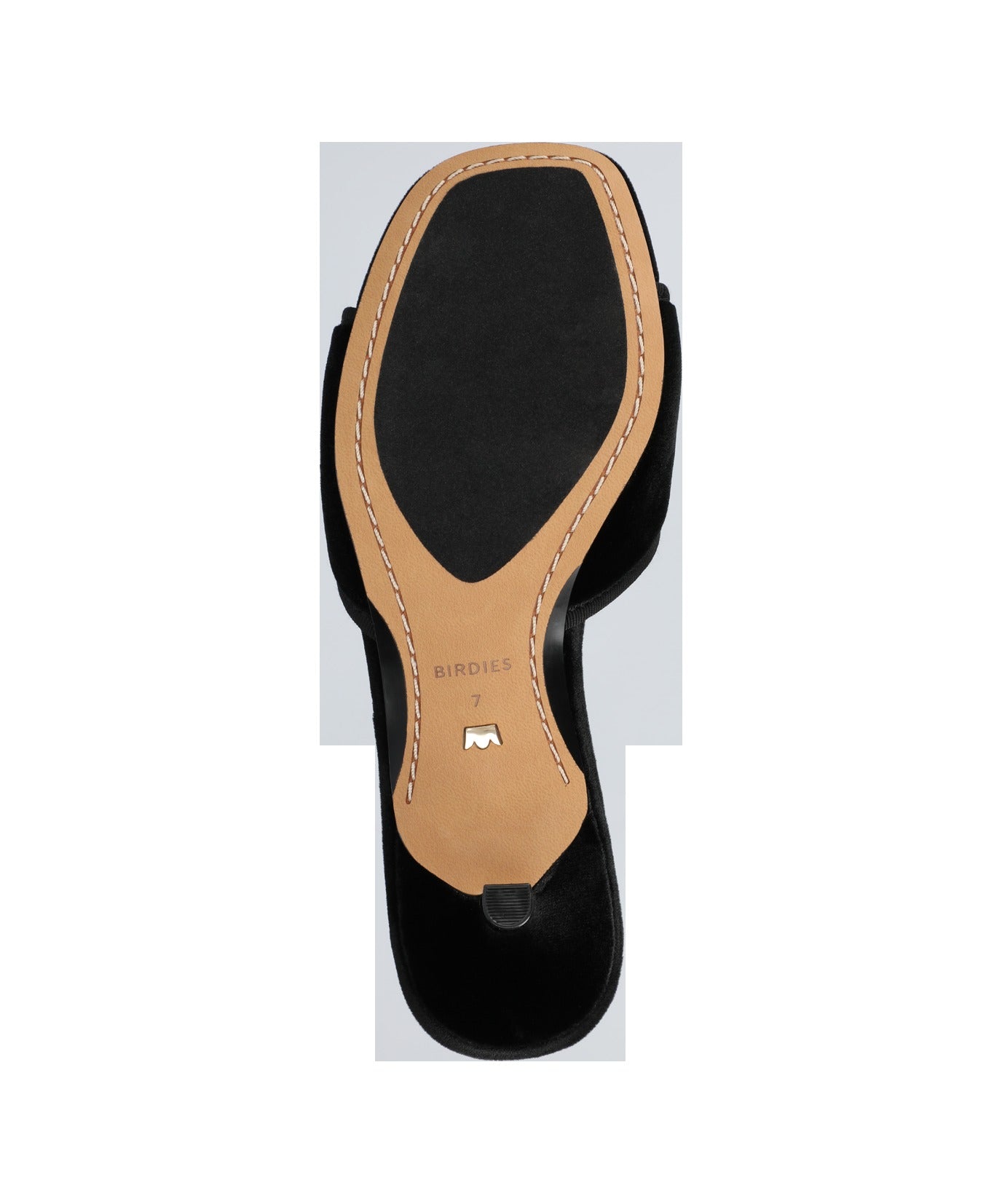 The Kiwi Kitten Flower - Black Velvet