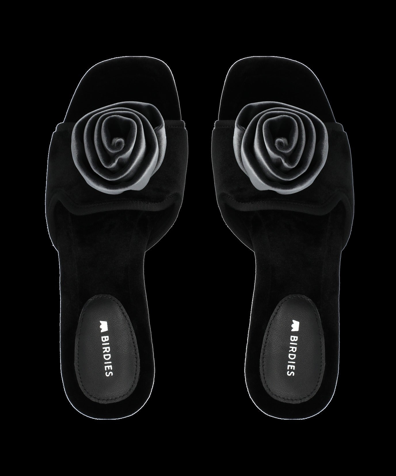 The Kiwi Kitten Flower - Black Velvet