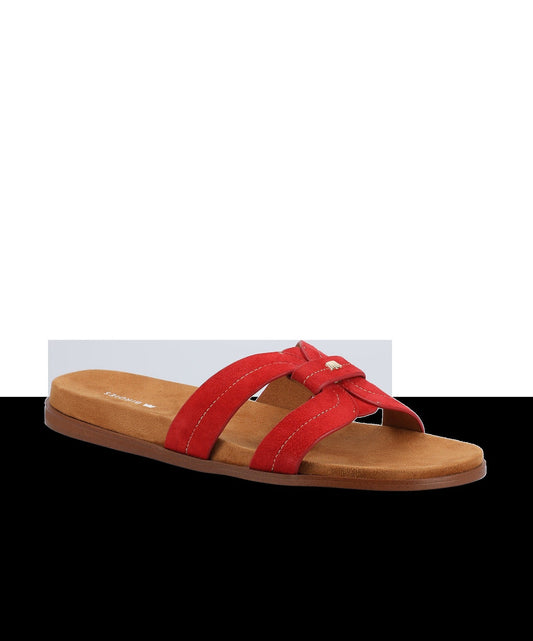 The Sunbird Icon - Red Suede