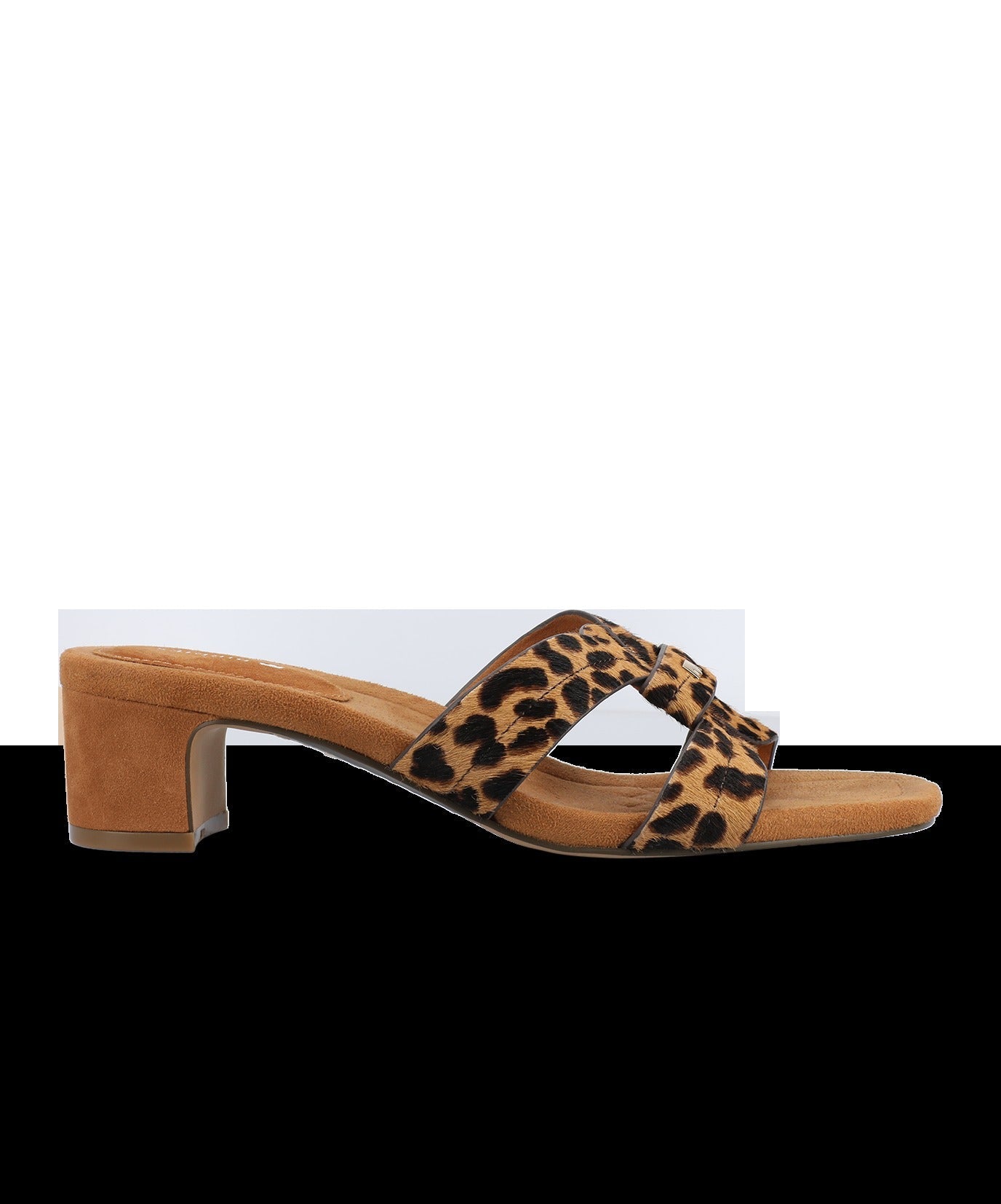 The Kiwi 40 Icon - Leopard Haircalf