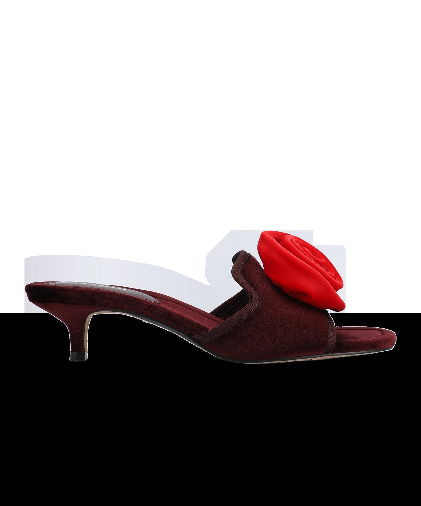 The Kiwi Kitten Flower - Burgundy Velvet